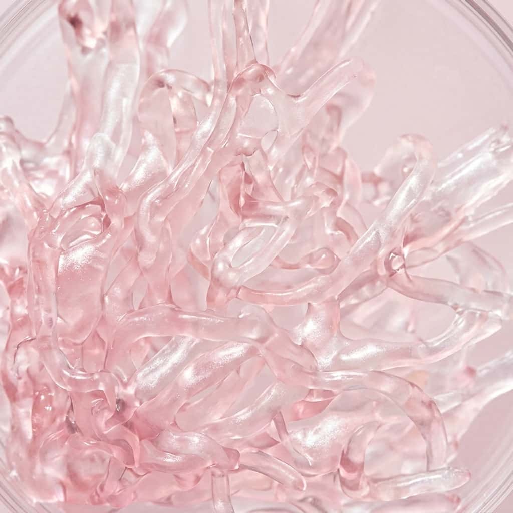 Stichopus Variegatus